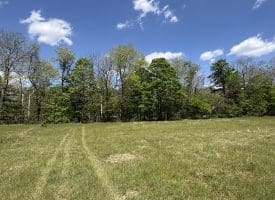 8.25 Ac Walnut Tree Lane, Paw Paw, WV 25434