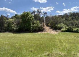 8.25 Ac Walnut Tree Lane, Paw Paw, WV 25434