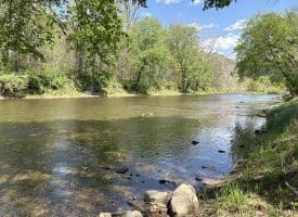 8.25 Ac Walnut Tree Lane, Paw Paw, WV 25434