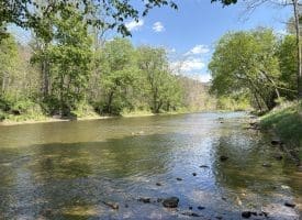 8.25 Ac Walnut Tree Lane, Paw Paw, WV 25434