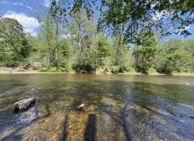 8.25 Ac Walnut Tree Lane, Paw Paw, WV 25434