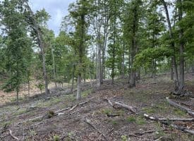 40.15 Ac Middle Ridge Road, Romney, WV 26757