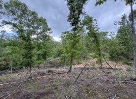 40.15 Ac Middle Ridge Road, Romney, WV 26757
