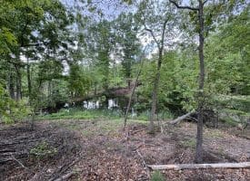 40.15 Ac Middle Ridge Road, Romney, WV 26757