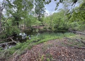 40.15 Ac Middle Ridge Road, Romney, WV 26757