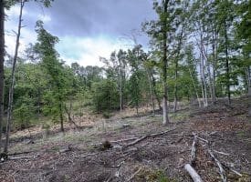 40.15 Ac Middle Ridge Road, Romney, WV 26757