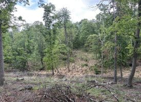 40.15 Ac Middle Ridge Road, Romney, WV 26757