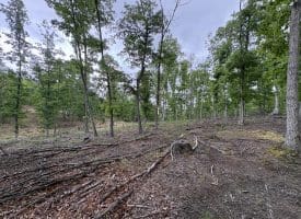 40.15 Ac Middle Ridge Road, Romney, WV 26757