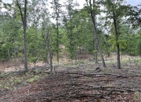 40.15 Ac Middle Ridge Road, Romney, WV 26757
