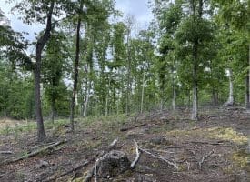 40.15 Ac Middle Ridge Road, Romney, WV 26757