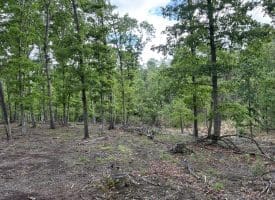40.15 Ac Middle Ridge Road, Romney, WV 26757