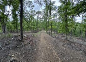 40.15 Ac Middle Ridge Road, Romney, WV 26757