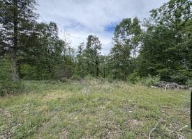 40.15 Ac Middle Ridge Road, Romney, WV 26757