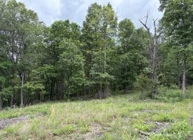 40.15 Ac Middle Ridge Road, Romney, WV 26757