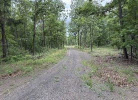40.15 Ac Middle Ridge Road, Romney, WV 26757