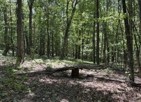 Lot 11 Rock Creek Trail, Augusta, WV 26704