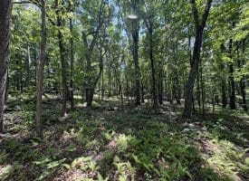 Lot 11 Rock Creek Trail, Augusta, WV 26704