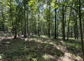 Lot 11 Rock Creek Trail, Augusta, WV 26704