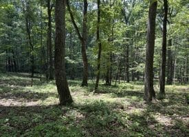 Lot 11 Rock Creek Trail, Augusta, WV 26704
