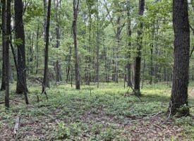 Lot 11 Rock Creek Trail, Augusta, WV 26704