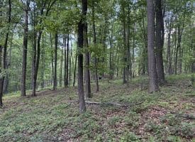 Lot 11 Rock Creek Trail, Augusta, WV 26704