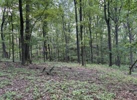 Lot 11 Rock Creek Trail, Augusta, WV 26704