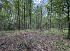 Lot 11 Rock Creek Trail, Augusta, WV 26704