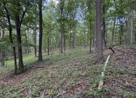 Lot 11 Rock Creek Trail, Augusta, WV 26704