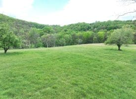 200.92 Ac Northwestern Pike, Romney, WV 26757