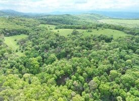 200.92 Ac Northwestern Pike, Romney, WV 26757