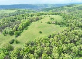 200.92 Ac Northwestern Pike, Romney, WV 26757