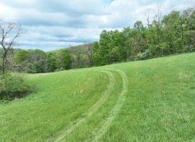 200.92 Ac Northwestern Pike, Romney, WV 26757