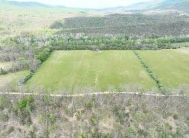8.25 Ac Walnut Tree Lane, Paw Paw, WV 25434