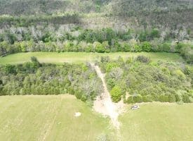 8.25 Ac Walnut Tree Lane, Paw Paw, WV 25434