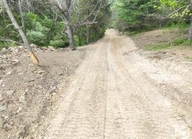 8.25 Ac Walnut Tree Lane, Paw Paw, WV 25434