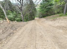 8.25 Ac Walnut Tree Lane, Paw Paw, WV 25434
