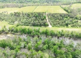 8.25 Ac Walnut Tree Lane, Paw Paw, WV 25434