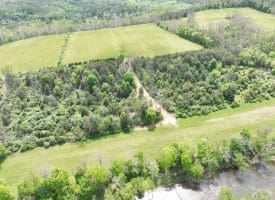 8.25 Ac Walnut Tree Lane, Paw Paw, WV 25434