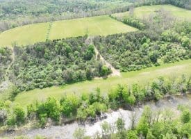 8.25 Ac Walnut Tree Lane, Paw Paw, WV 25434