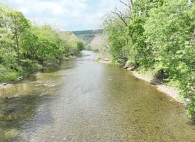 8.25 Ac Walnut Tree Lane, Paw Paw, WV 25434