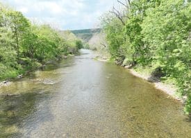 8.25 Ac Walnut Tree Lane, Paw Paw, WV 25434