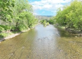 8.25 Ac Walnut Tree Lane, Paw Paw, WV 25434