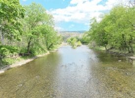 8.25 Ac Walnut Tree Lane, Paw Paw, WV 25434
