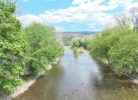 8.25 Ac Walnut Tree Lane, Paw Paw, WV 25434
