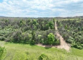 8.25 Ac Walnut Tree Lane, Paw Paw, WV 25434