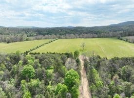 8.25 Ac Walnut Tree Lane, Paw Paw, WV 25434
