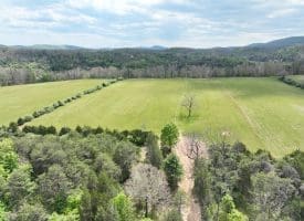 8.25 Ac Walnut Tree Lane, Paw Paw, WV 25434