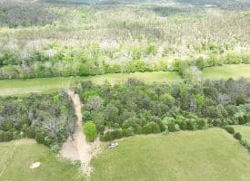 8.25 Ac Walnut Tree Lane, Paw Paw, WV 25434