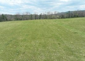 8.25 Ac Walnut Tree Lane, Paw Paw, WV 25434