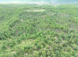 40.15 Ac Middle Ridge Road, Romney, WV 26757